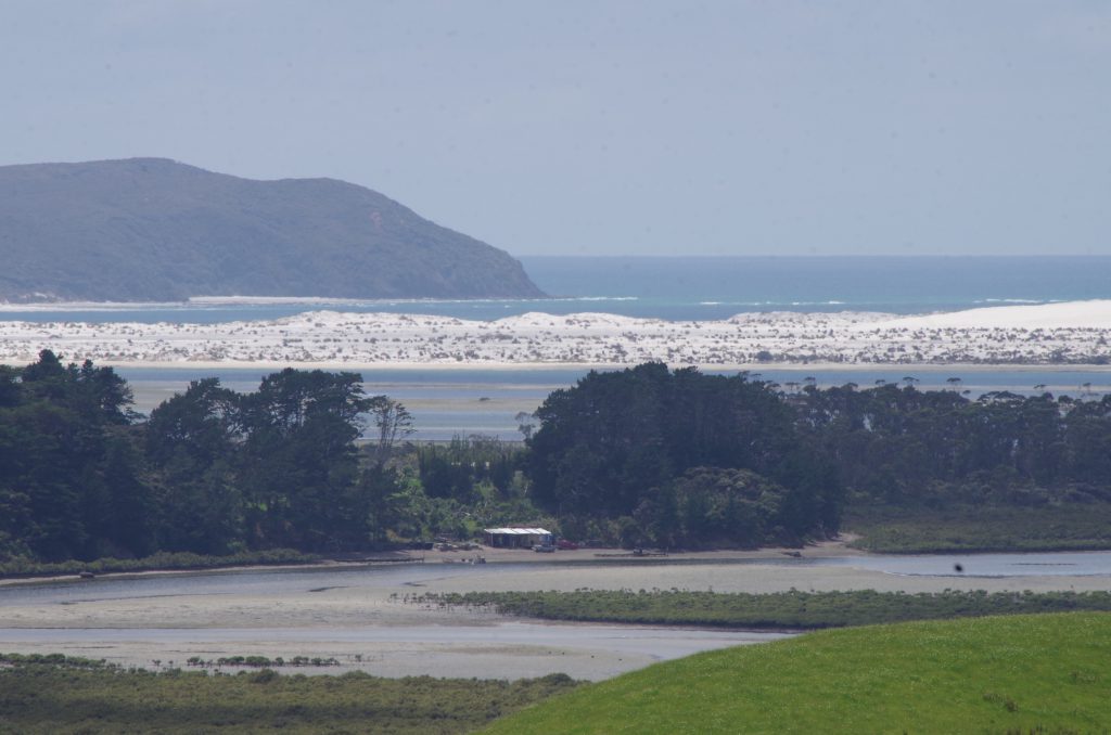 white_sand_nz